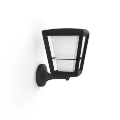 Philips by Signify Hue Outdoor Econic up Wall